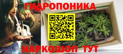 ПСИЛОЦИБИНОВЫЕ ГРИБЫ Балаково