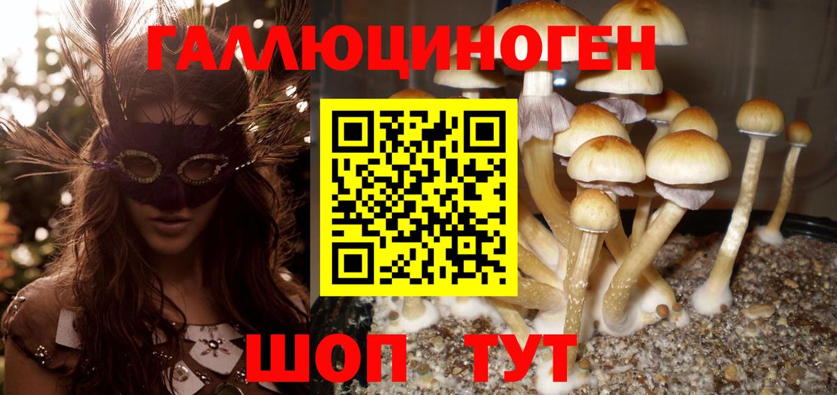 Дербент  Псилоцибиновые грибы GOLDEN TEACHER  Вход с VPN  Галлюциногенные грибы мицелий 