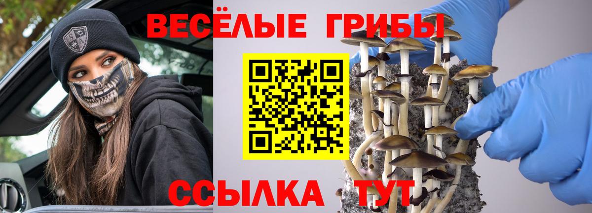 Псилоцибиновые грибы прущие грибы Дербент