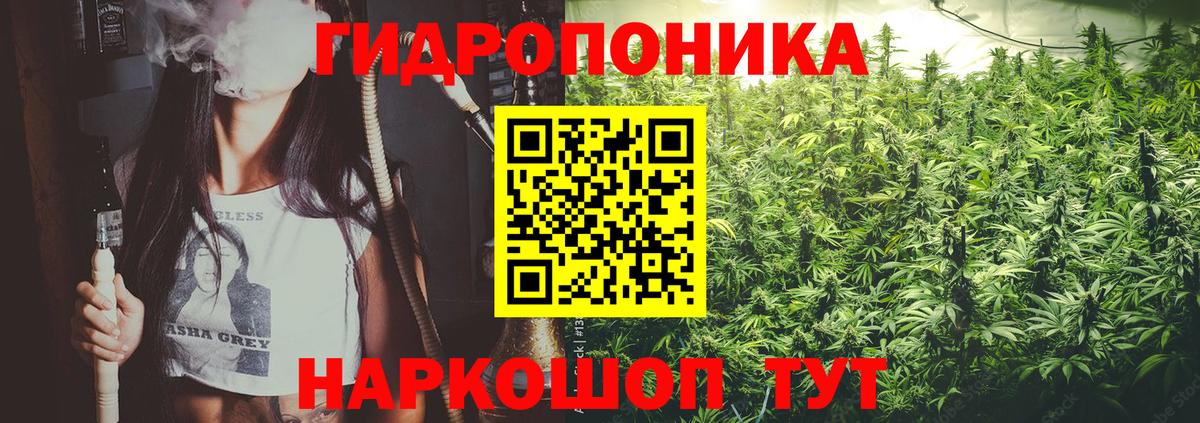 Конопля Ganja Дербент